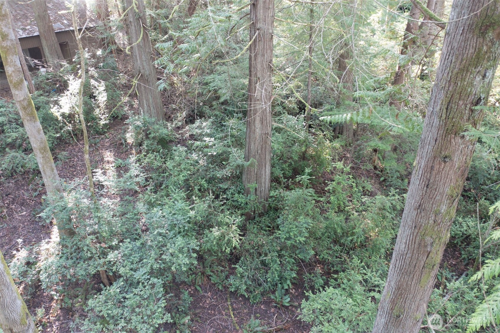 432 E Pointes Drive E Shelton WA 98584