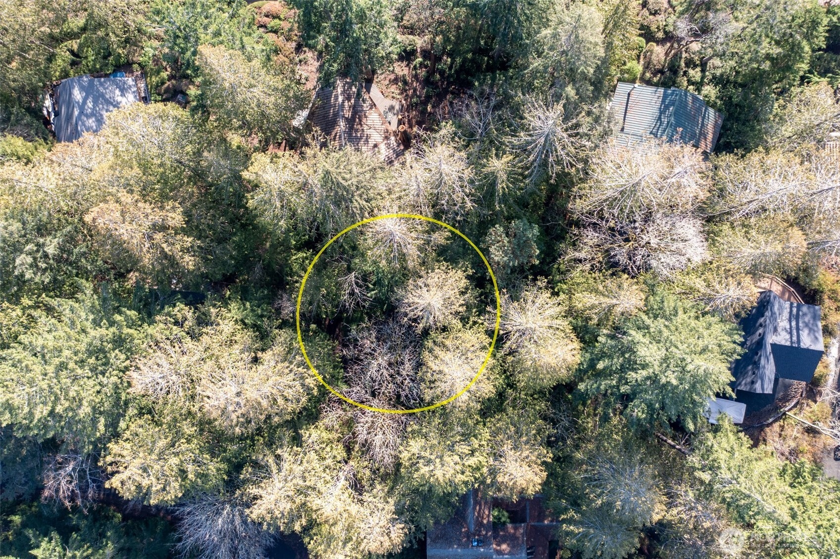 432 E Pointes Drive E Shelton WA 98584