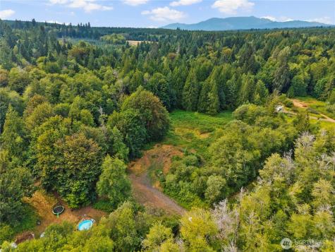 3211 W Little Egypt Shelton WA 98584