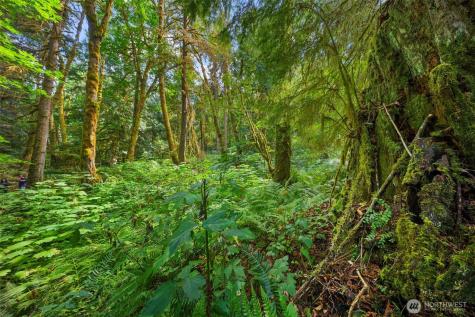 3211 W Little Egypt Shelton WA 98584