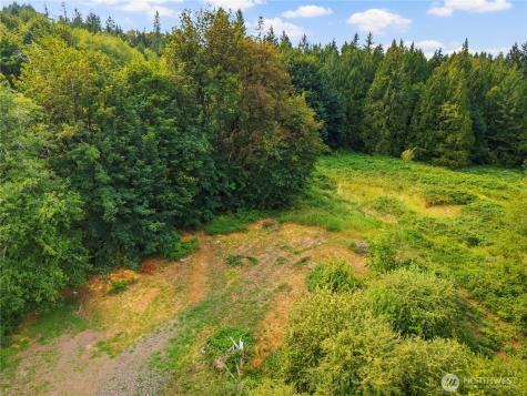 3211 W Little Egypt Shelton WA 98584