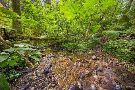 3211 W Little Egypt Shelton WA 98584