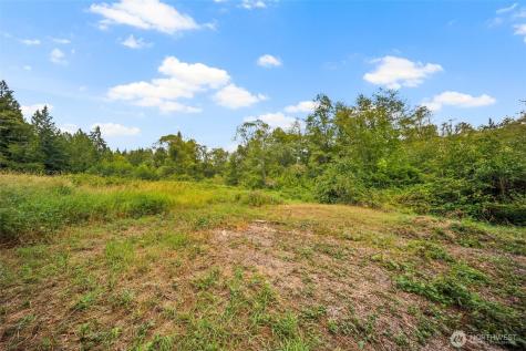 3211 W Little Egypt Shelton WA 98584