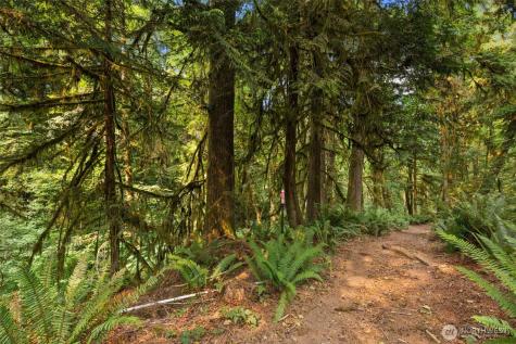 3211 W Little Egypt Shelton WA 98584
