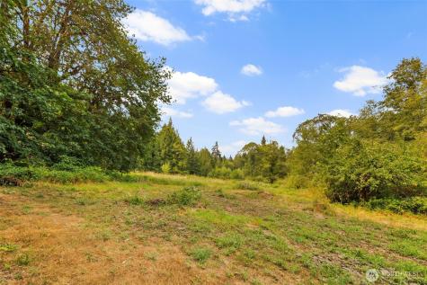 3211 W Little Egypt Shelton WA 98584