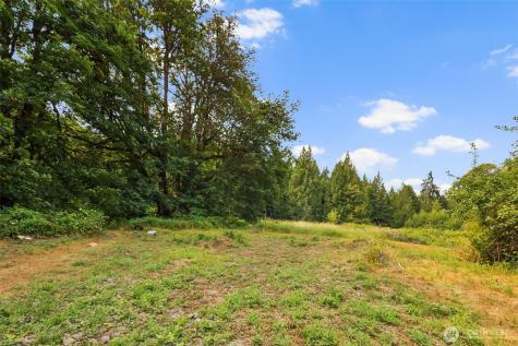 3211 W Little Egypt Shelton WA 98584