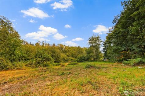 3211 W Little Egypt Shelton WA 98584