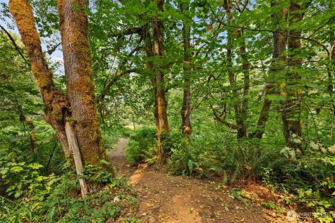 3211 W Little Egypt Shelton WA 98584