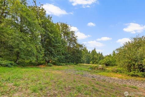 3211 W Little Egypt Shelton WA 98584