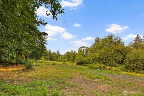 3211 W Little Egypt Shelton WA 98584