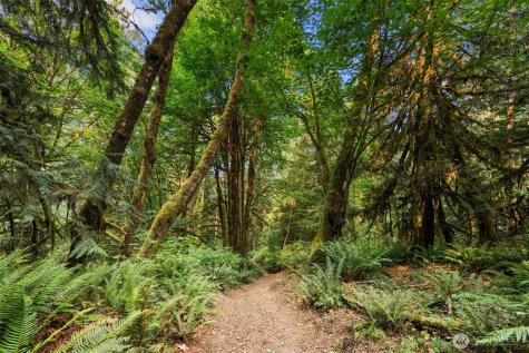 3211 W Little Egypt Shelton WA 98584
