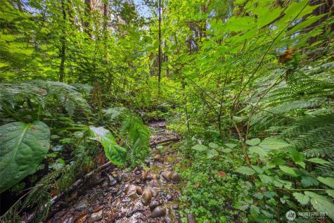 3211 W Little Egypt Shelton WA 98584