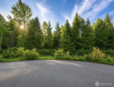 15331 Sunnyside Lane SE Yelm WA 98597