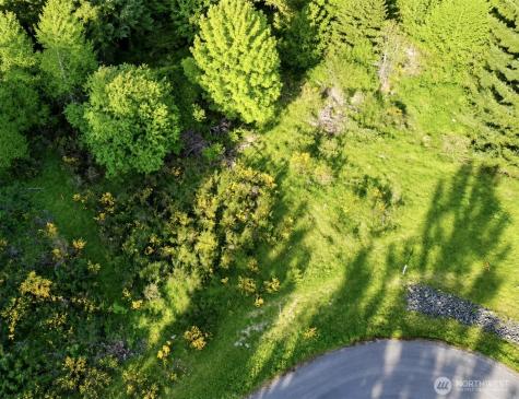 15331 Sunnyside Lane SE Yelm WA 98597