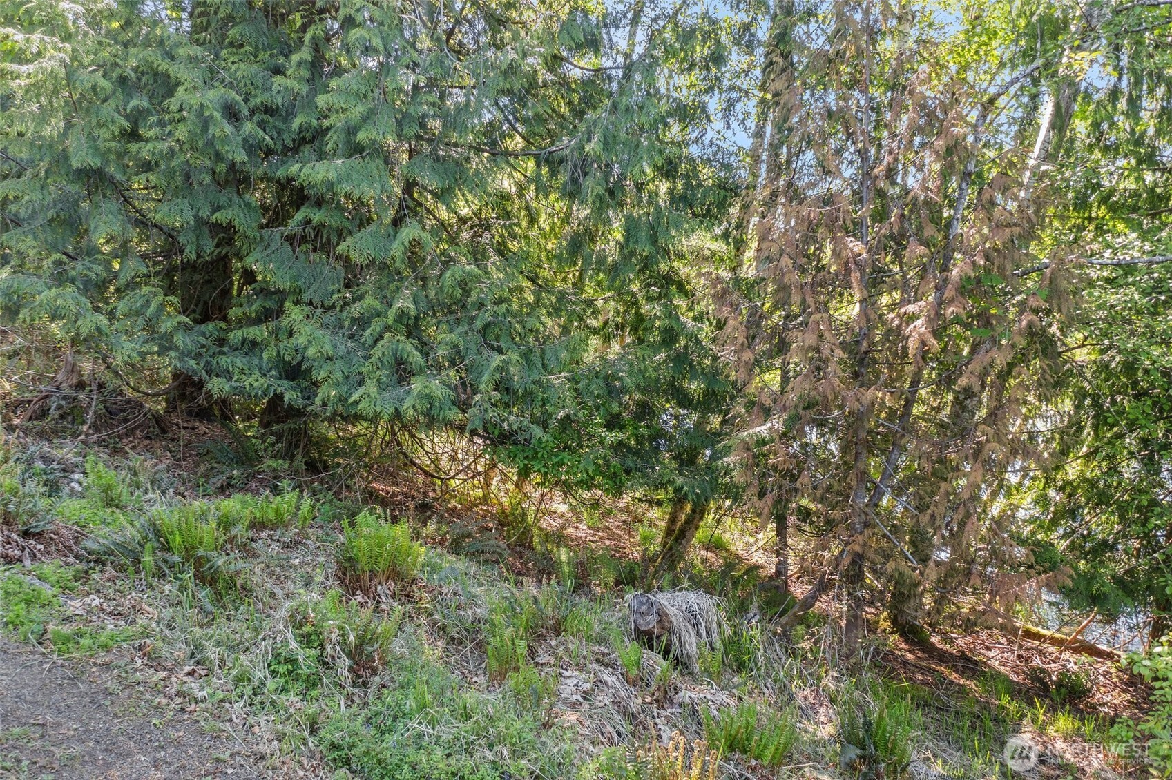 1710 SE Crescent Drive Shelton WA 98584