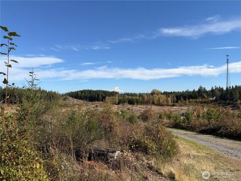 132 Algyer Road SE Rainier WA 98576