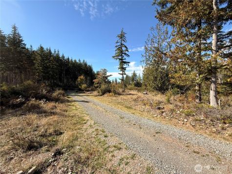 132 Algyer Road SE Rainier WA 98576