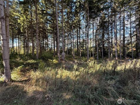 132 Algyer Road SE Rainier WA 98576