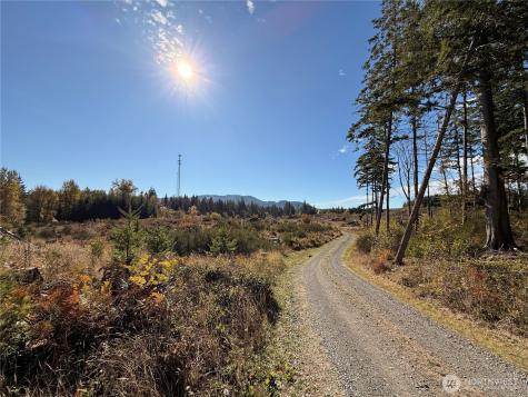 132 Algyer Road SE Rainier WA 98576
