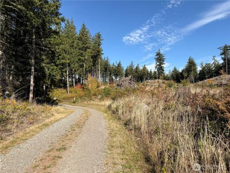 132 Algyer Road SE Rainier WA 98576