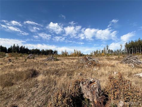 132 Algyer Road SE Rainier WA 98576