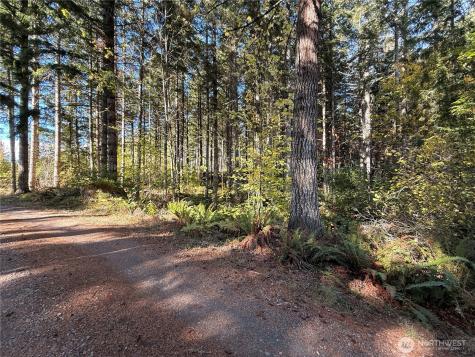 132 Algyer Road SE Rainier WA 98576
