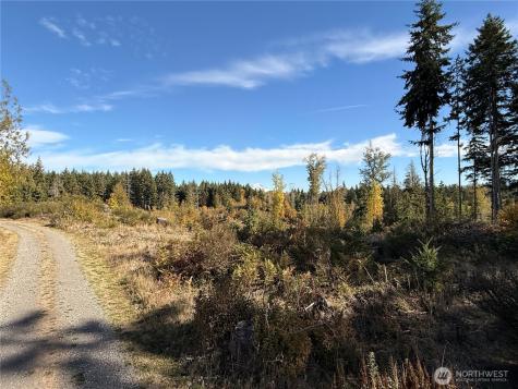 132 Algyer Road SE Rainier WA 98576