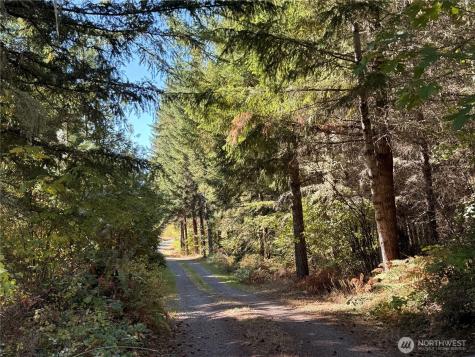 132 Algyer Road SE Rainier WA 98576