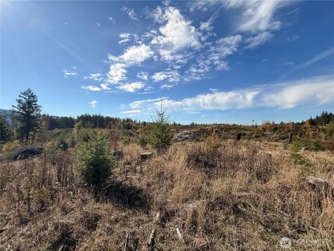 132 Algyer Road SE Rainier WA 98576