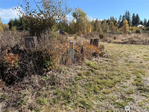 132 Algyer Road SE Rainier WA 98576