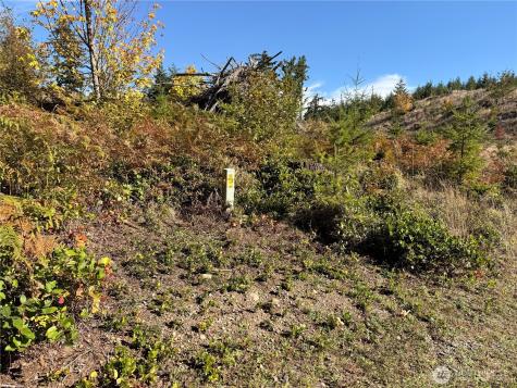 132 Algyer Road SE Rainier WA 98576