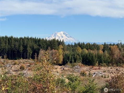 132 Algyer Road SE Rainier WA 98576