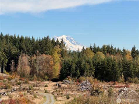 132 Algyer Road SE Rainier WA 98576