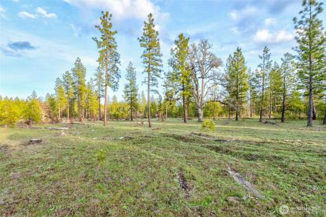 0 Greyback Mountain Road Goldendale WA 98620