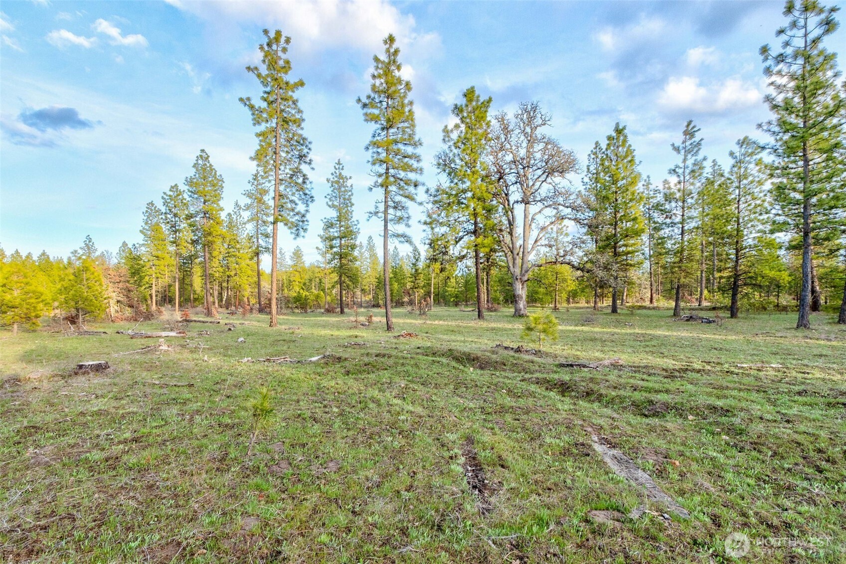 0 Greyback Mountain Road Goldendale WA 98620