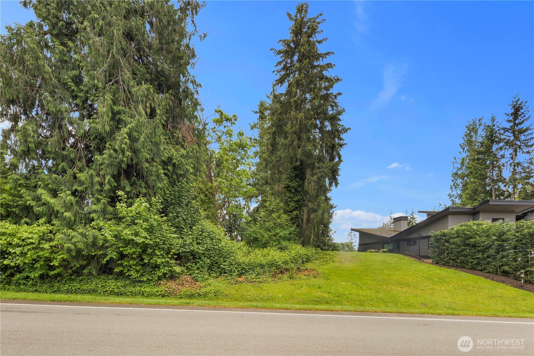 19615 SE 29th Street Sammamish WA 98075