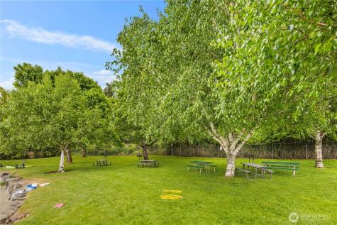 19615 SE 29th Street Sammamish WA 98075
