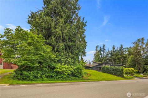 19615 SE 29th Street Sammamish WA 98075