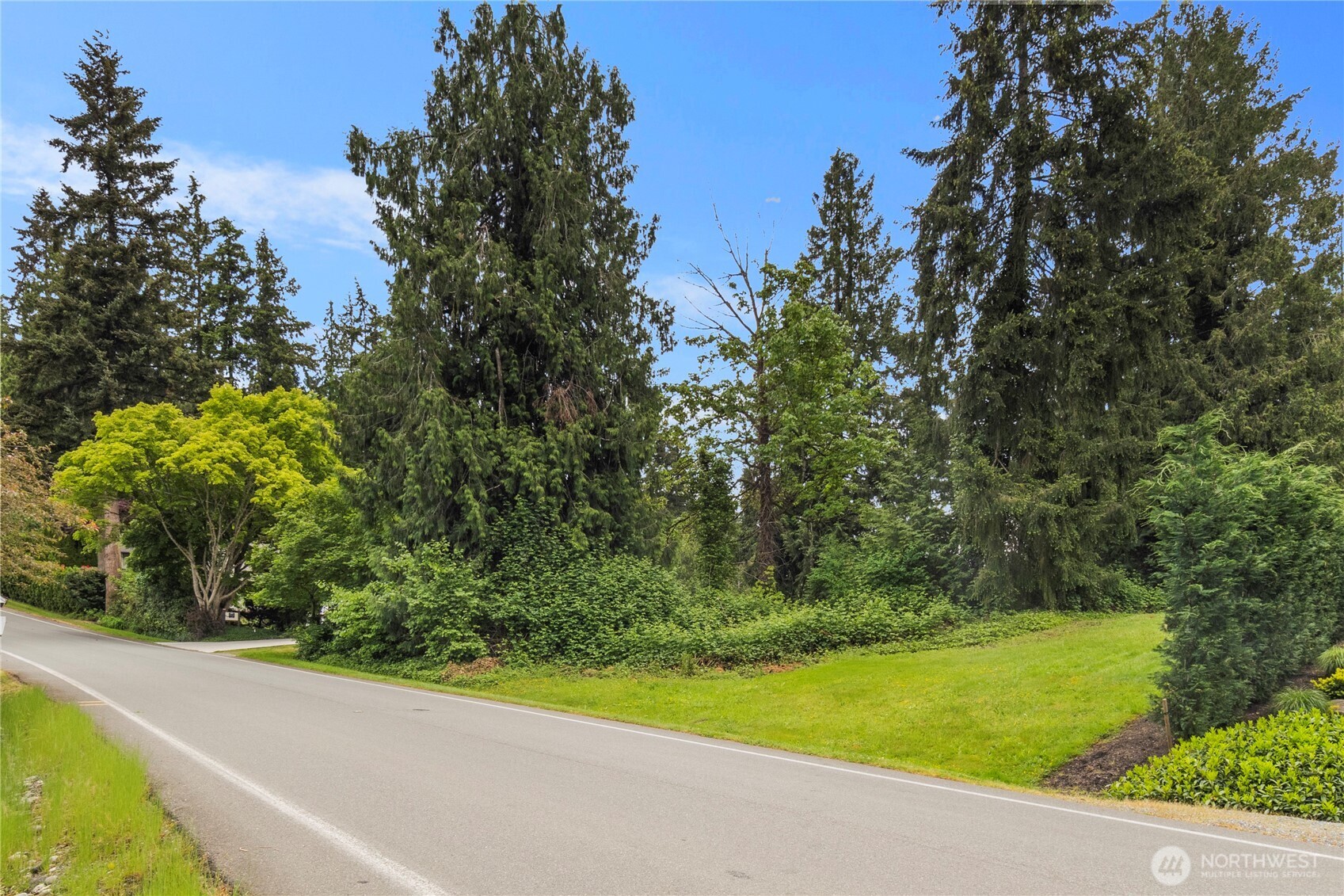19615 SE 29th Street Sammamish WA 98075