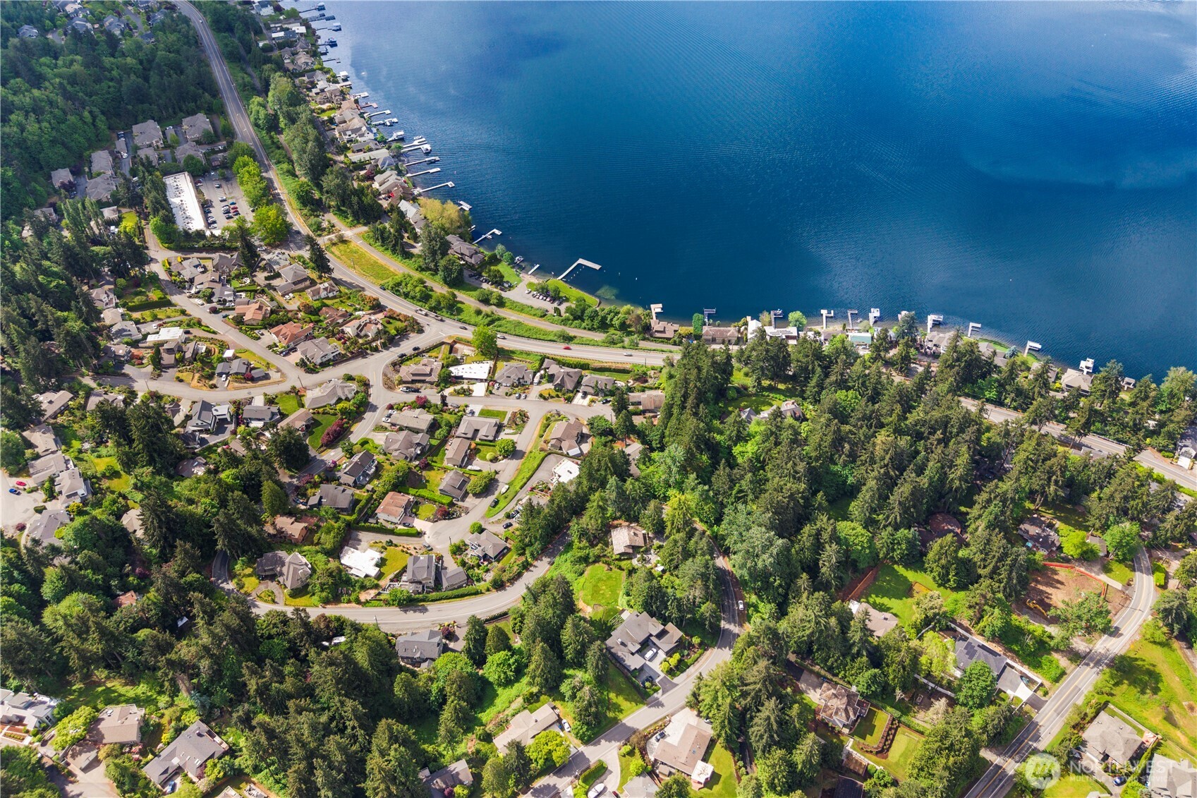 19615 SE 29th Street Sammamish WA 98075
