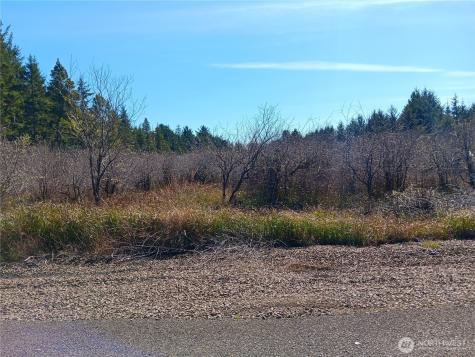 1610 147th Place Long Beach WA 98631