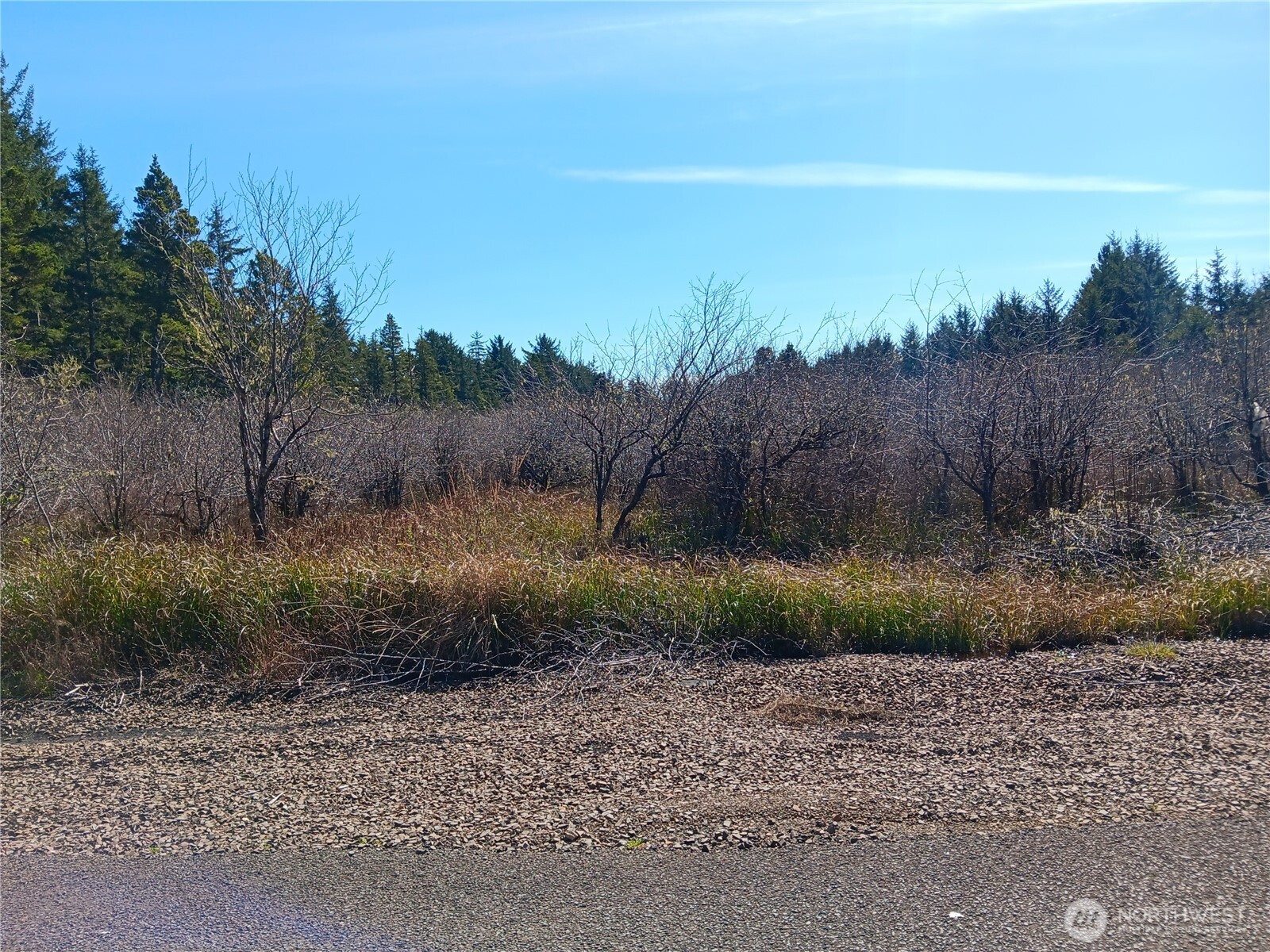 1610 147th Place Long Beach WA 98631
