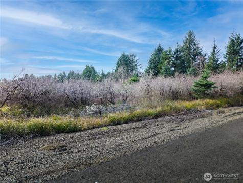 1610 147th Place Long Beach WA 98631