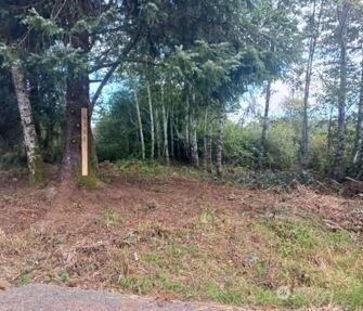 1610 147th Place Long Beach WA 98631
