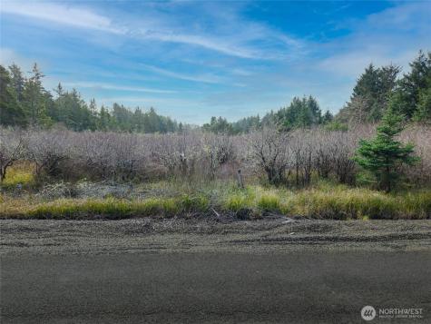 1610 147th Place Long Beach WA 98631
