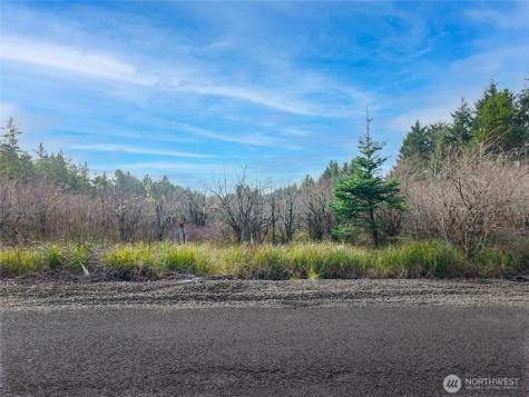 1610 147th Place Long Beach WA 98631