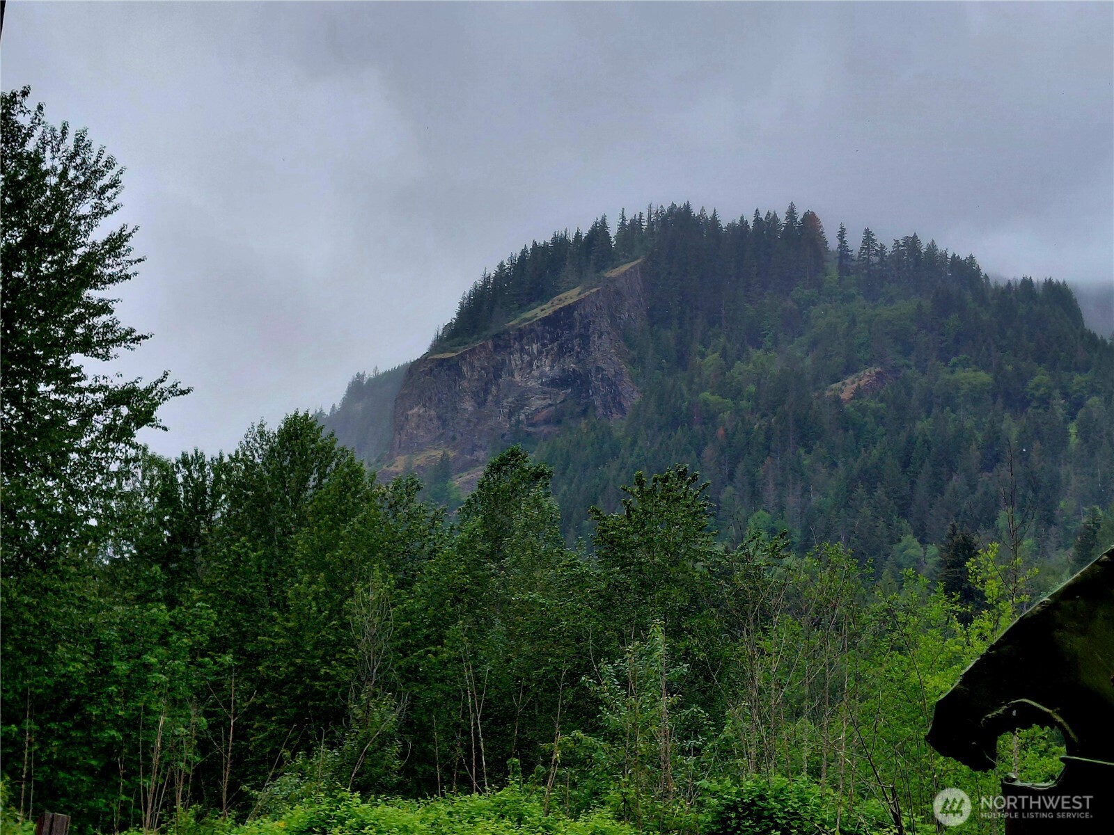 0 Highway 12 Randle WA 98377