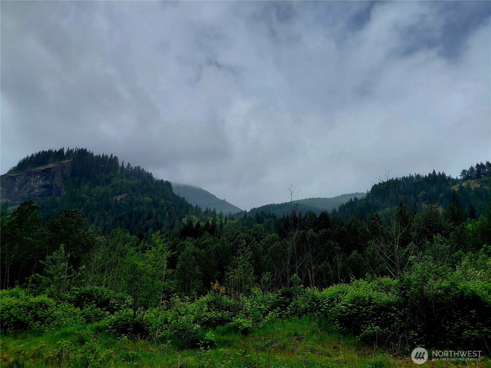 0 Highway 12 Randle WA 98377