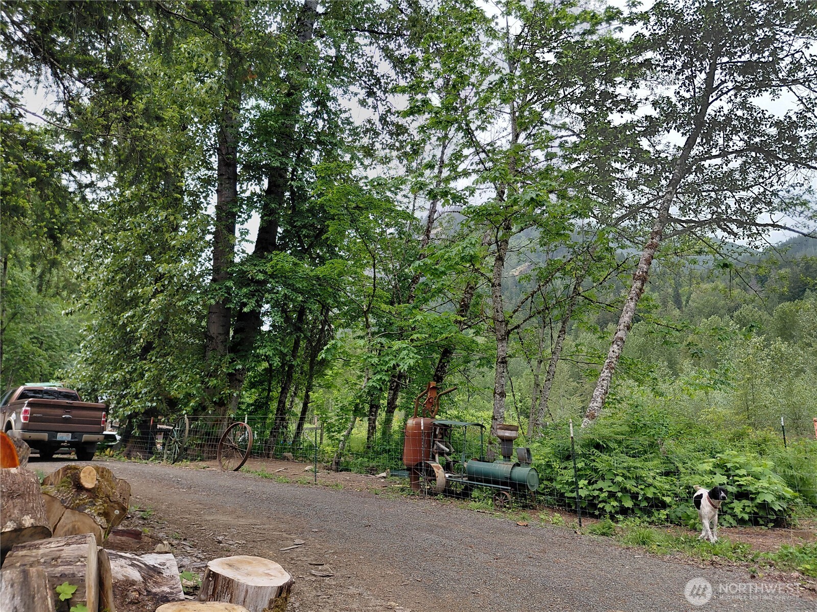 0 Highway 12 Randle WA 98377