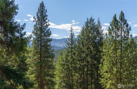 25601 Camp 12 Road Leavenworth WA 98826